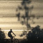 SHADOWS