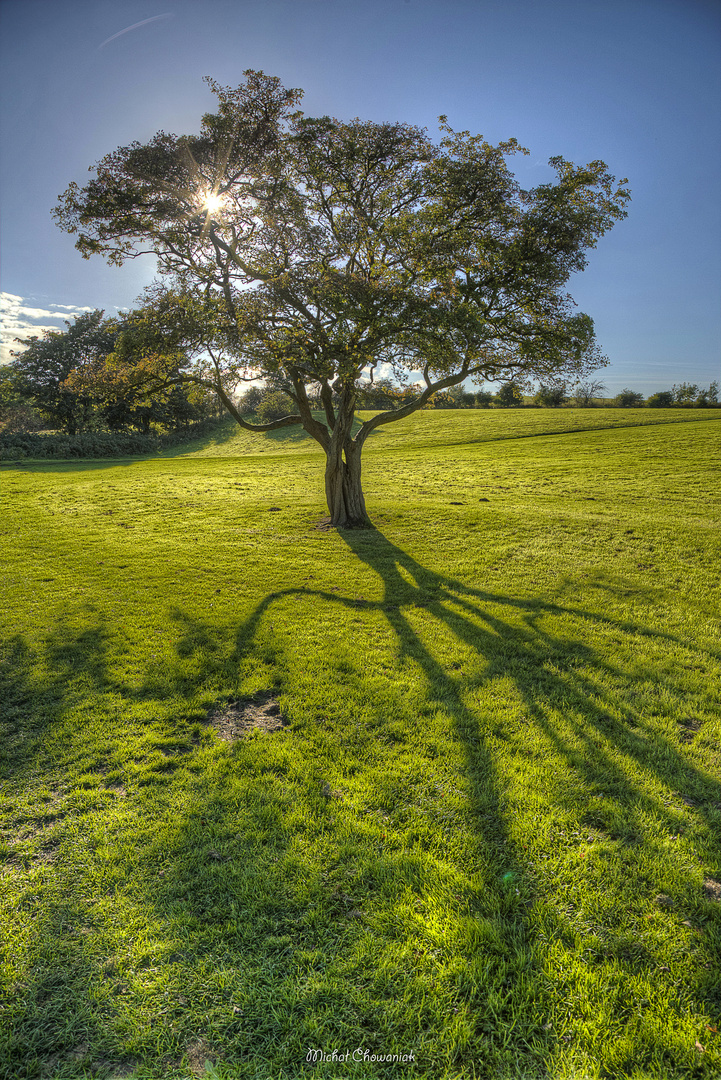 Shadows at Blackness, Scotland