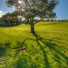 Shadows at Blackness, Scotland