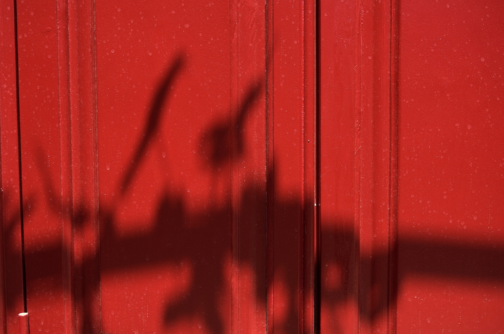 Shadows at Citrus Bar, XIOS