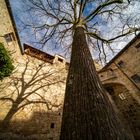 Shadows at the wall - Burghausen