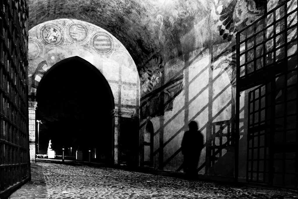 "Shadows" di Carlo Rigoglioso