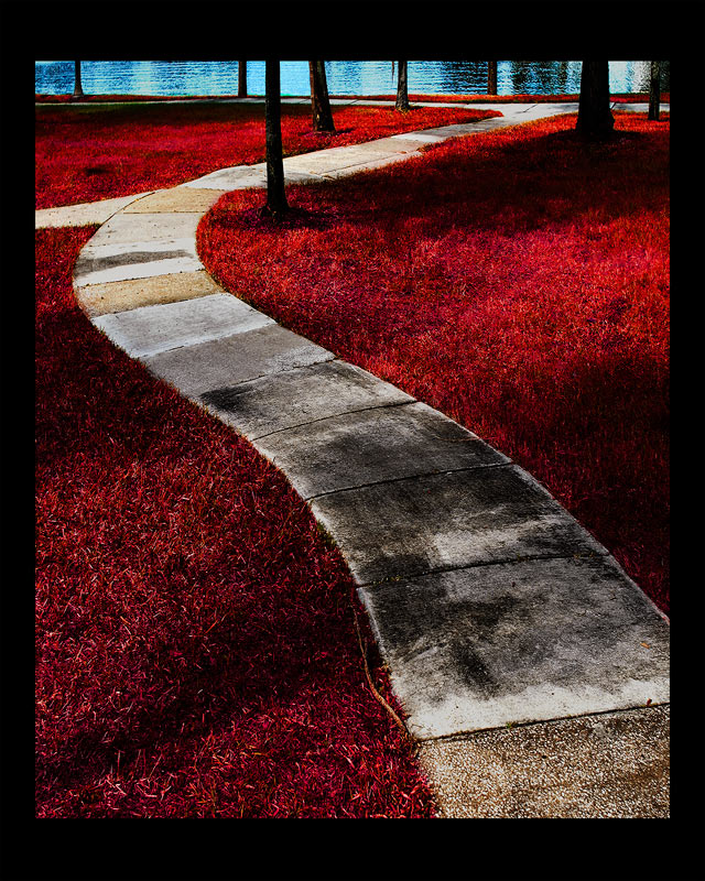 shadows in the park