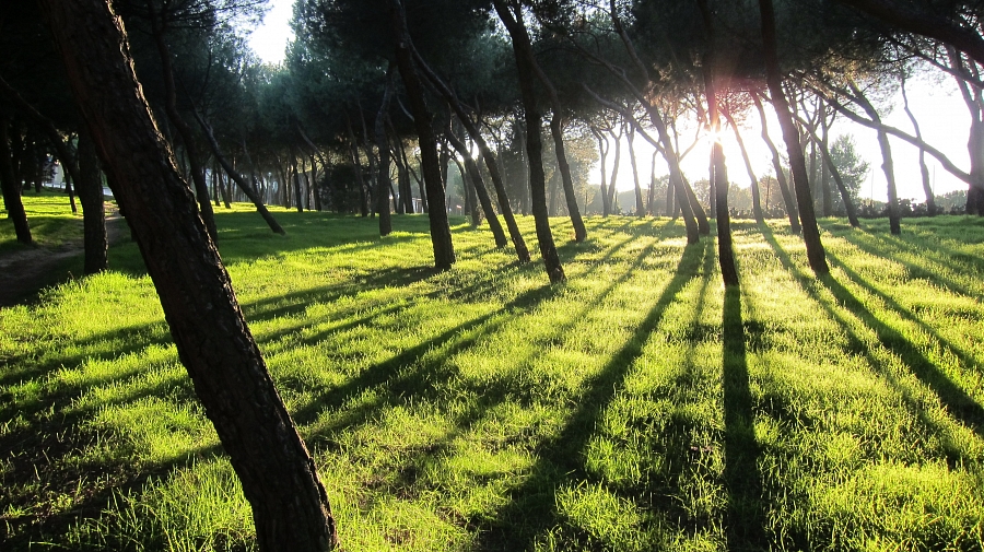 Shadows @ Madrid