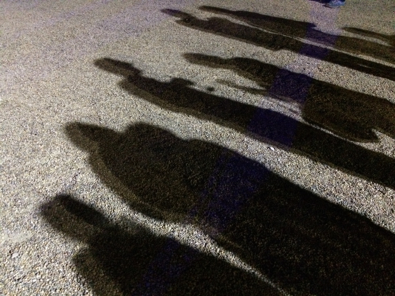 shadows of humans