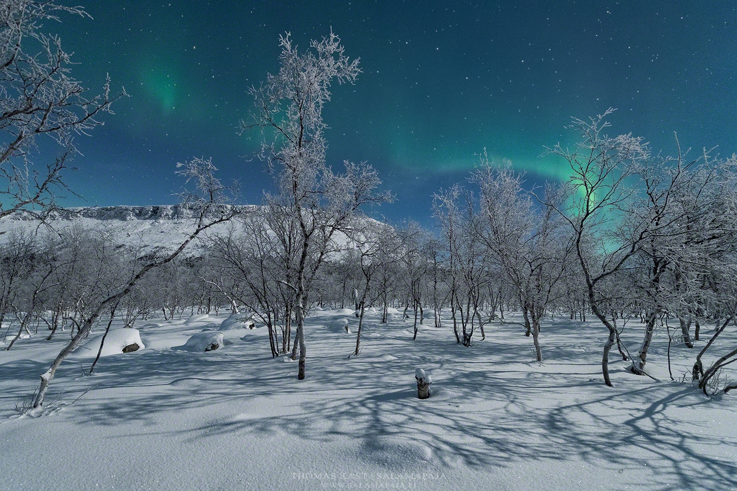 Shadows of the night / Schatten der Nacht Foto & Bild nature, night