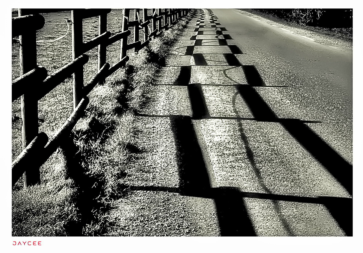 Shadows on a country road .