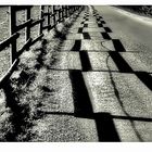 Shadows on a country road .