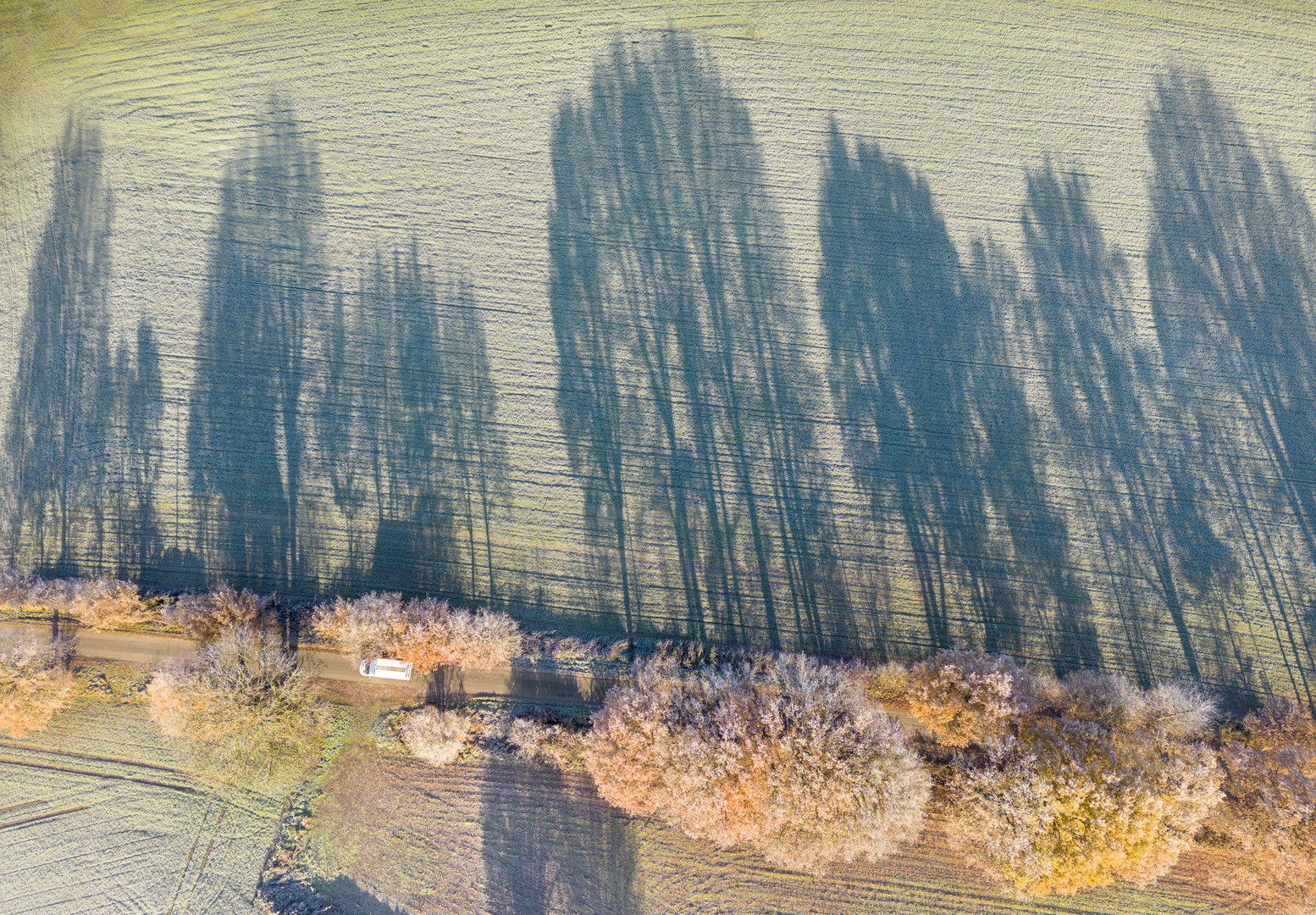 Shadows on a frosty morning