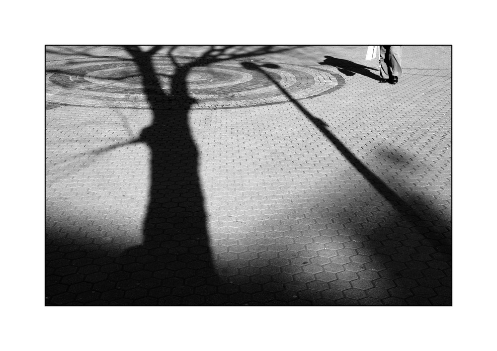 Shadows on a walk...