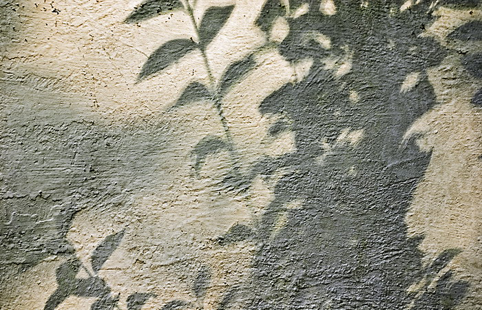 Shadows on a Wall.