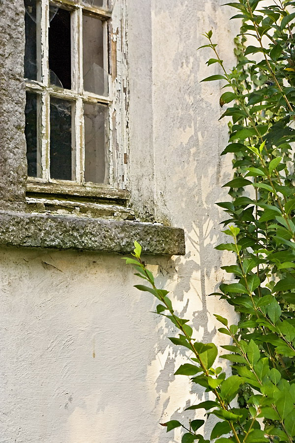 Shadows on an old wall