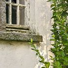 Shadows on an old wall