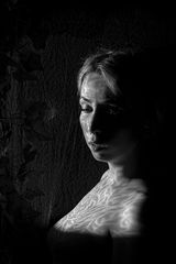 Shadows on the skin III