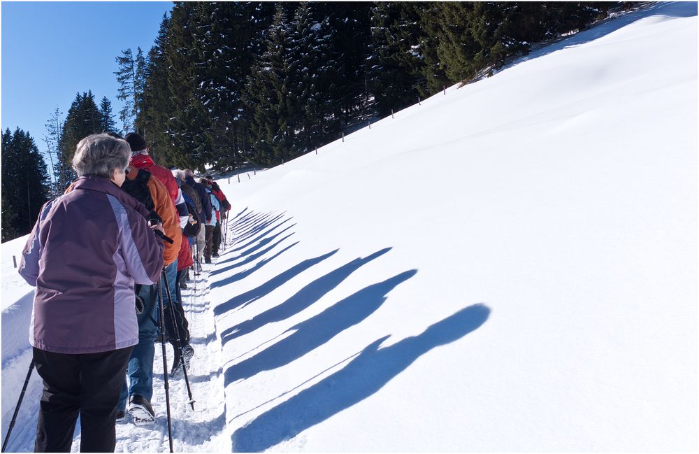 Shadows on the Snow