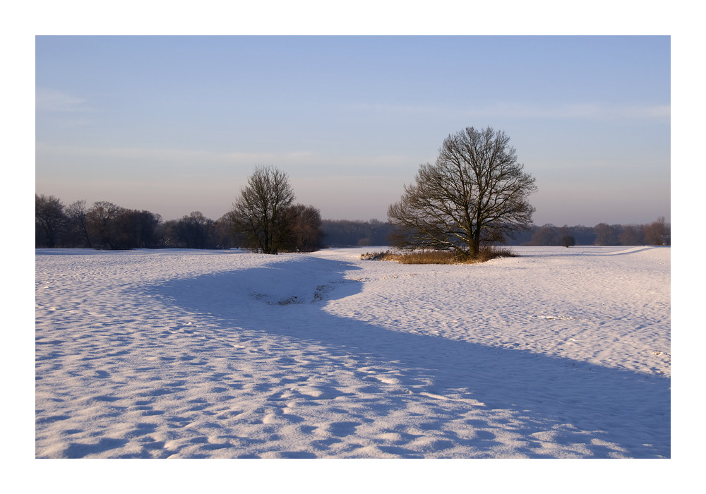 Shadows on the snow...