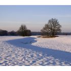 Shadows on the snow...