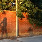 Shadows on the Wall