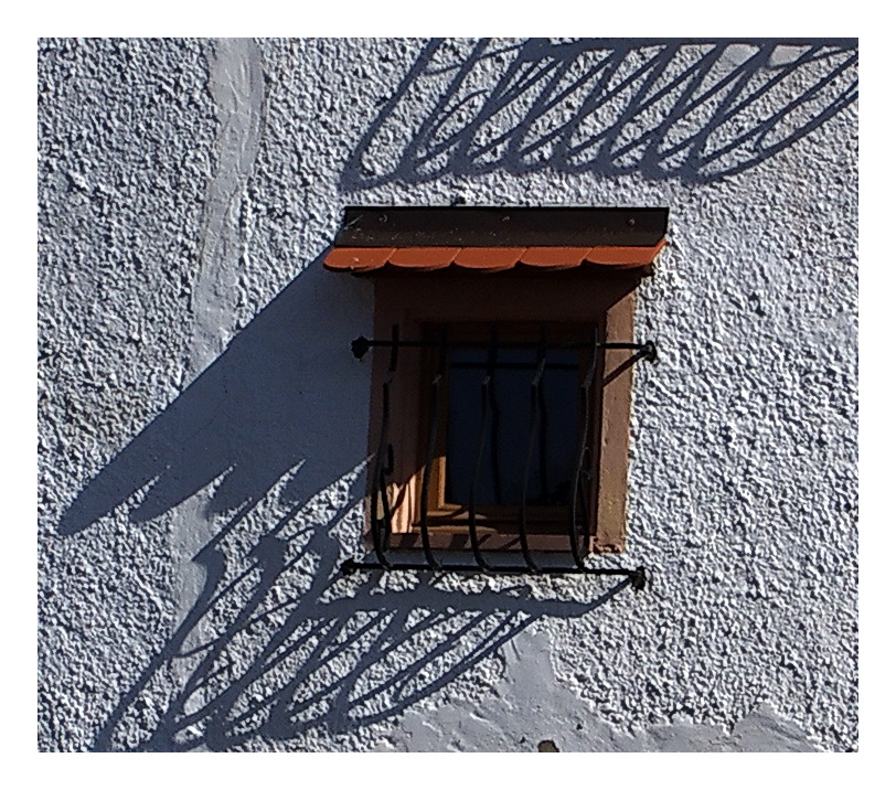 Shadows on the wall