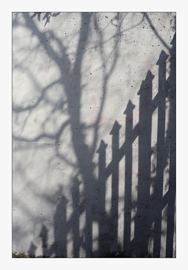 shadows on the wall