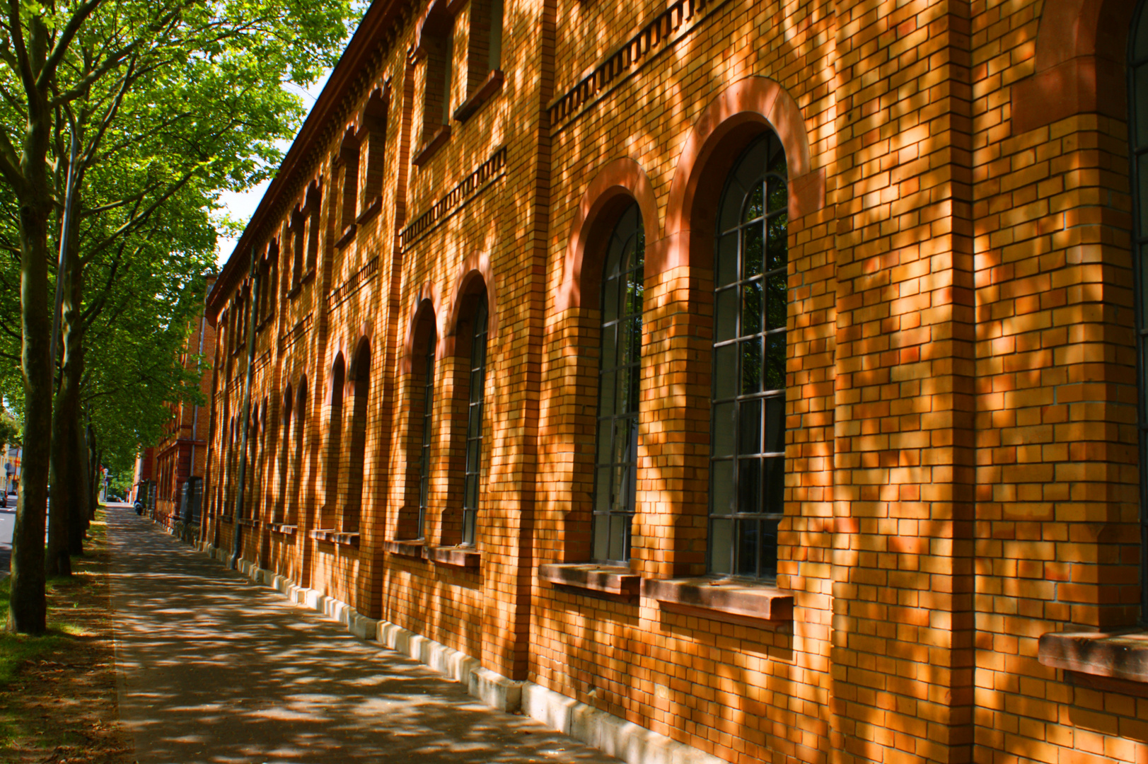 Shadows on the Wall