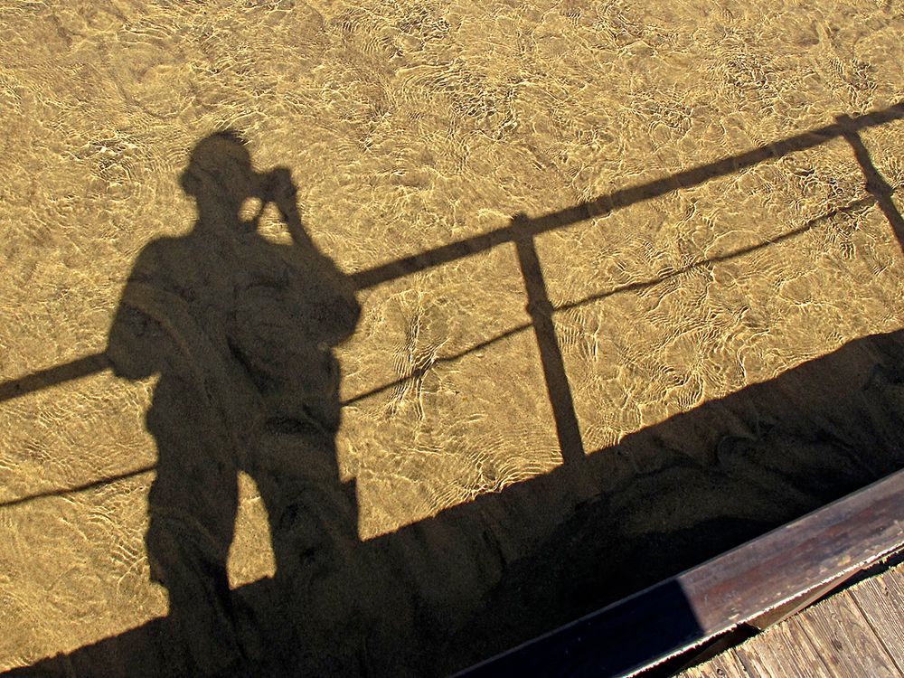 Shadows on the water