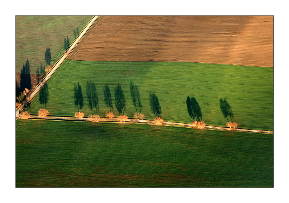 Shadows - Schatten (1)