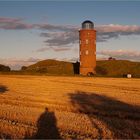 ~ shadows@field ~