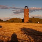 ~ shadows@field ~