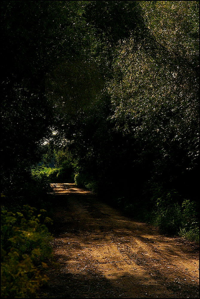 Shady Road