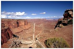 Shafer Canyon Overlook