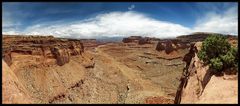 Shafer Trail