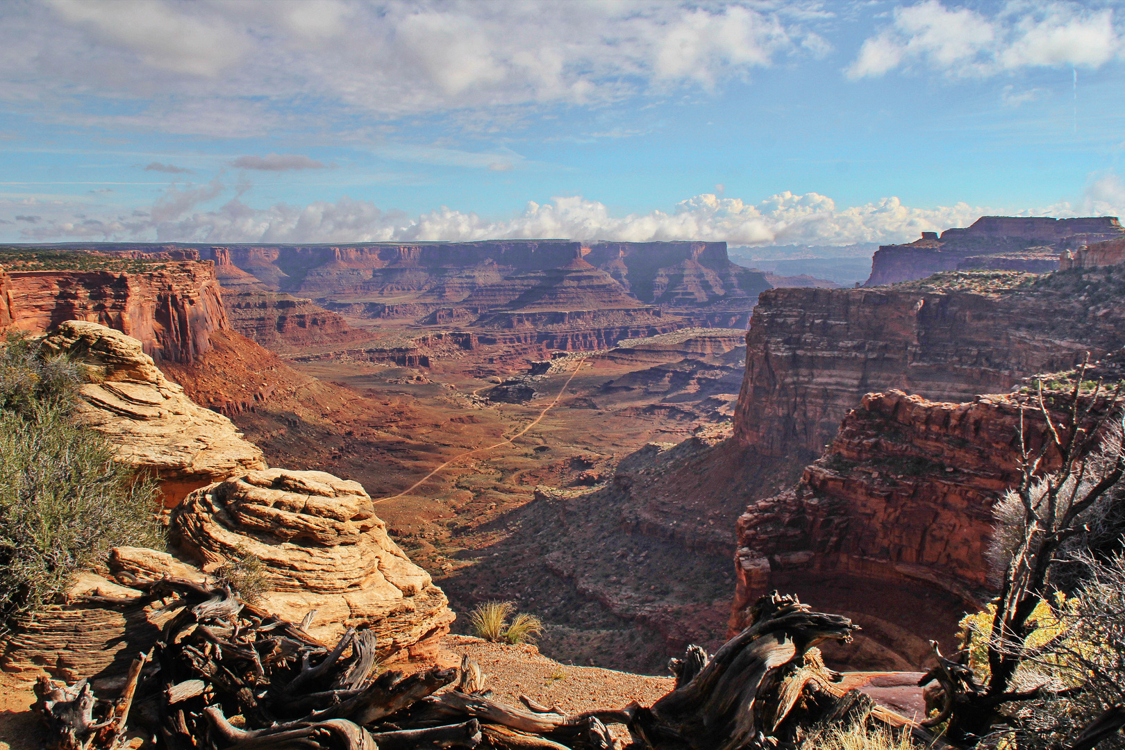 Shafer Trail Overlook