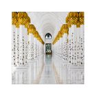 Shaikh Zayed Grand Mosque