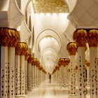 Shaikh Zayed Grand Mosque IV