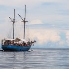 Shakti Raja Ampat Liveaboard Adventures