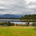 Shallow Lake on the West Coast