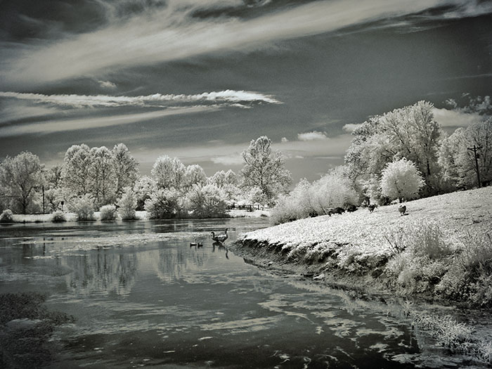 Shallow Pond