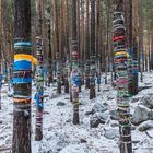 shamanic trees in Siberia