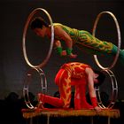 Shanghai Acrobats