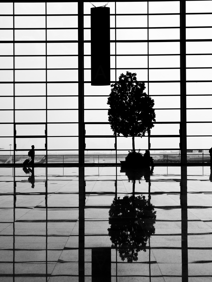 Shanghai Airport