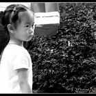 Shanghai Kids II