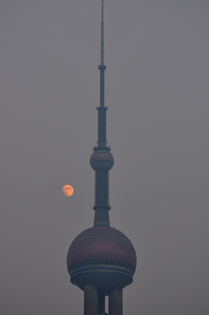 Shanghai Moon