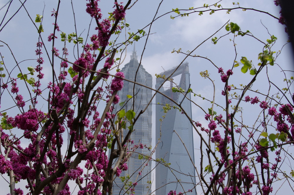 Shanghai-Pudong: Jin Mao Tower & World Financial Centre (im Bau)