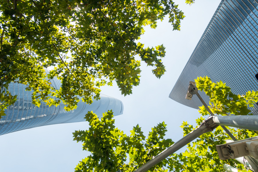 Shanghai Tower im Grünen