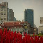 Shanghai vestida de rojo.