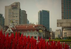 Shanghai vestida de rojo.