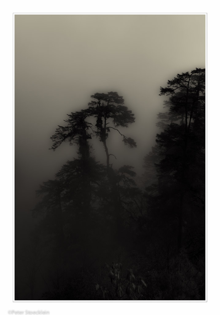 Shangri-La