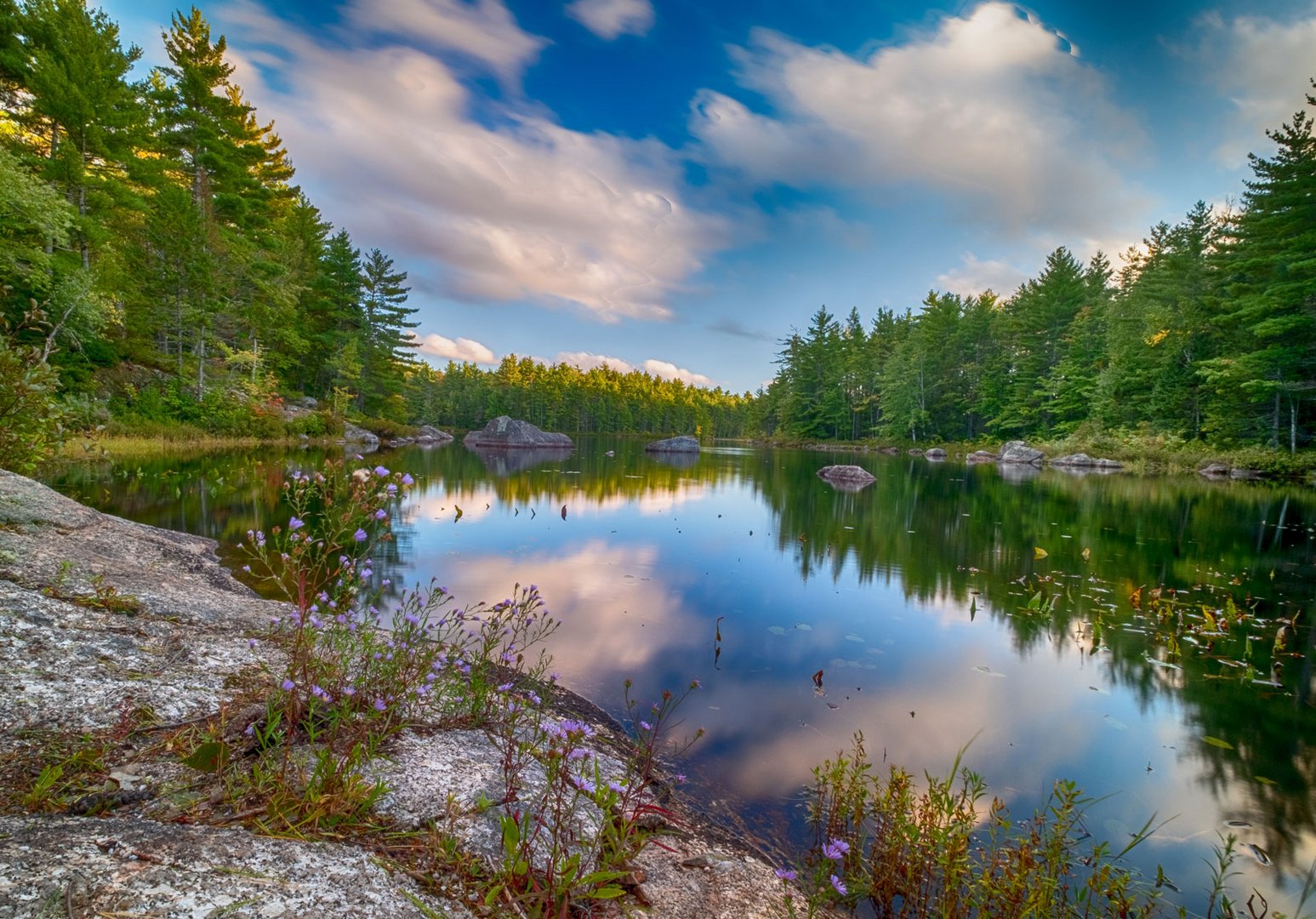 Shannon River Canoe Access Park Nova Scotia