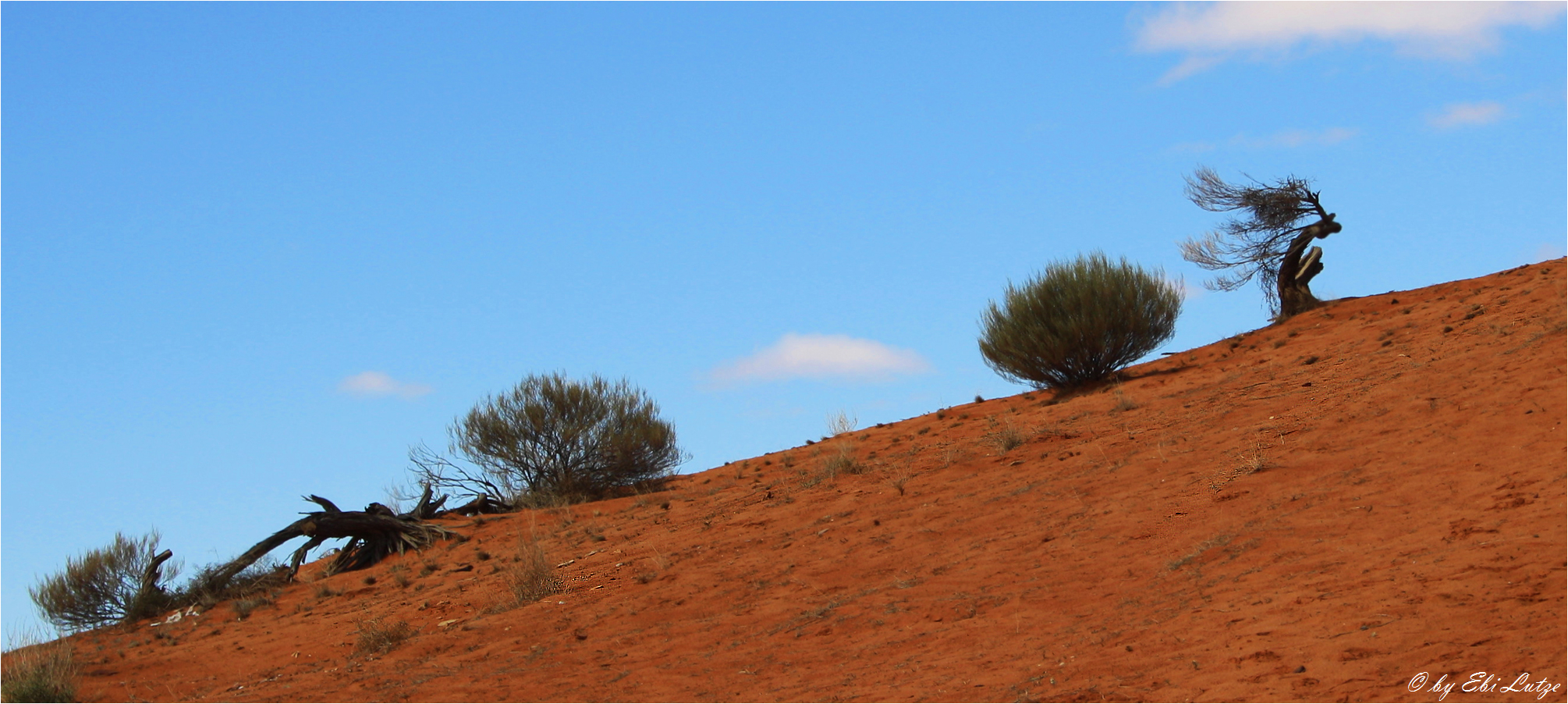 ** Shaped by the prevailing Wind / Lake Hart Sand Dunes **